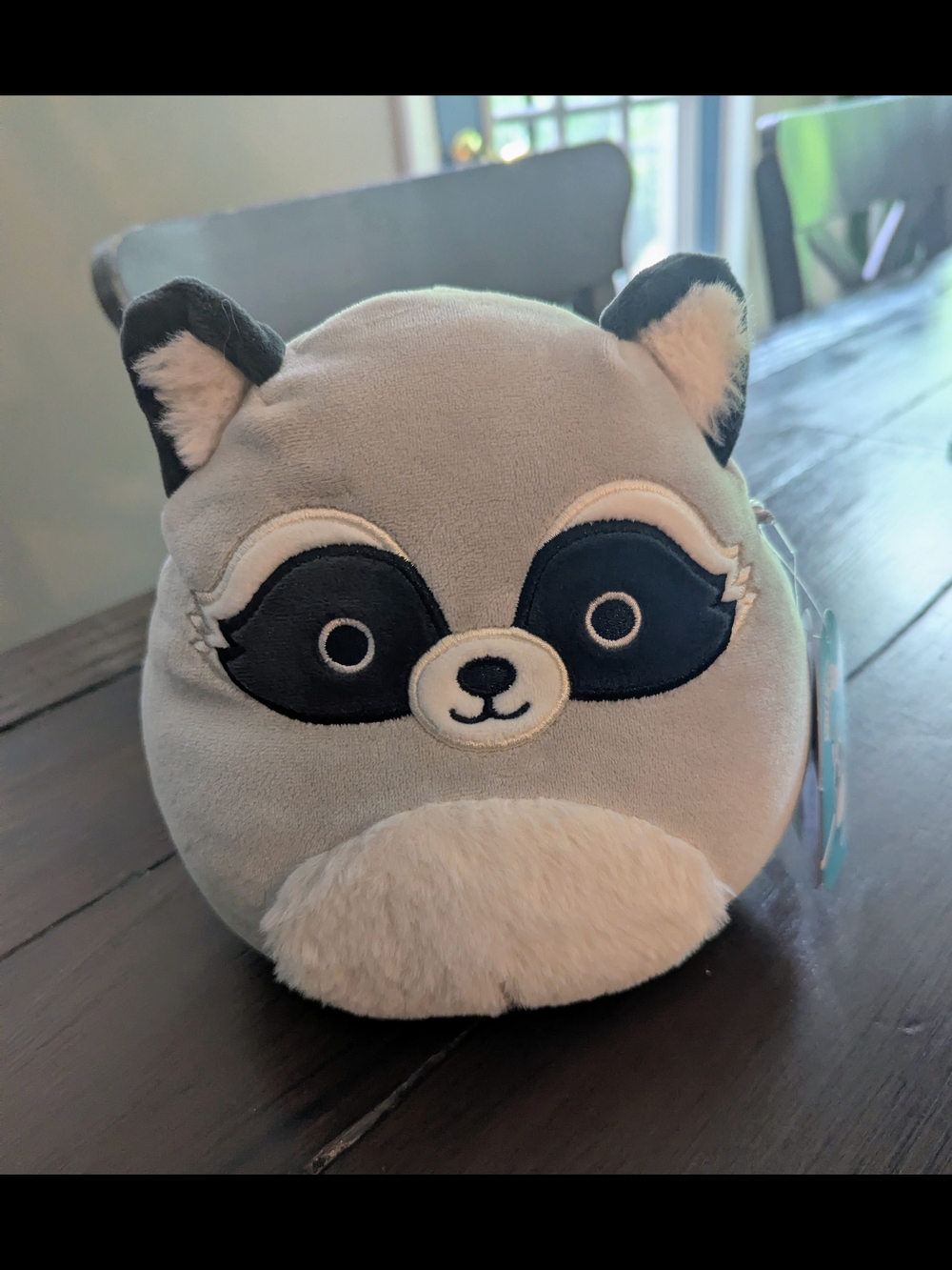 Squishmallows Galci Raccoon Plush - Gray, Black & Cream